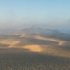 DUNE DANS LA BRUME