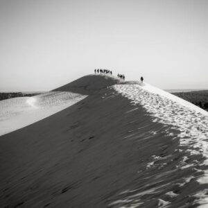 DUNE