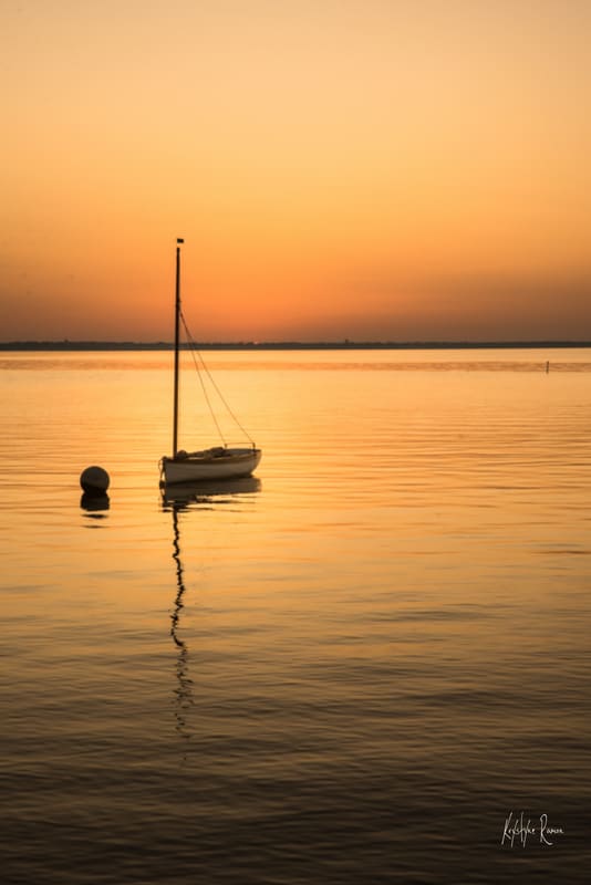 PHOTO LEVER DE SOLEIL PIQUEY