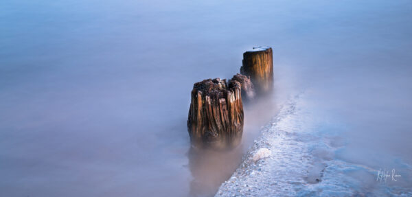 PHOTO PIGNOTS USES CAP FERRET KRYSTYNE RAMON