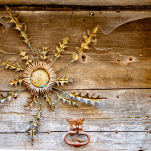 TOURNESOL SUR PORTE